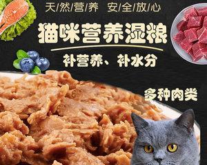 探秘猫为何爱吃生牛肉（揭秘猫咪肉食习性）