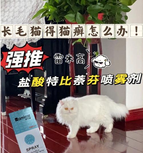 以猫癣用口服药治疗，必知的15个常识（宠物猫的皮肤病治疗）