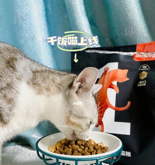 为什么我的猫咪不吃自制猫粮（探究自制猫粮的缺点与解决方案）