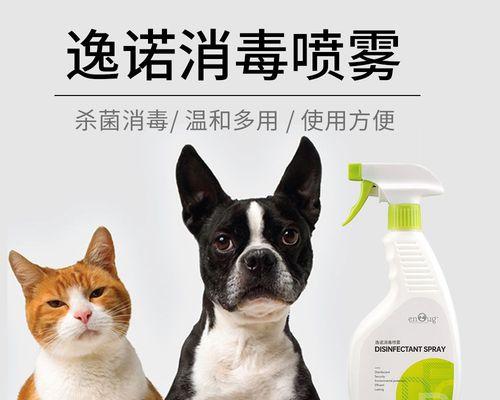 猫咪吃猫砂怎么办（如何避免猫咪吃猫砂）