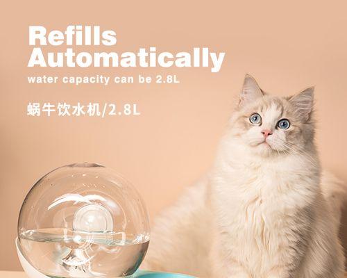 从小猫咪到成熟猫咪——宠物猫咪的发育过程（15个段落详解猫咪从出生到成熟的发育轨迹）