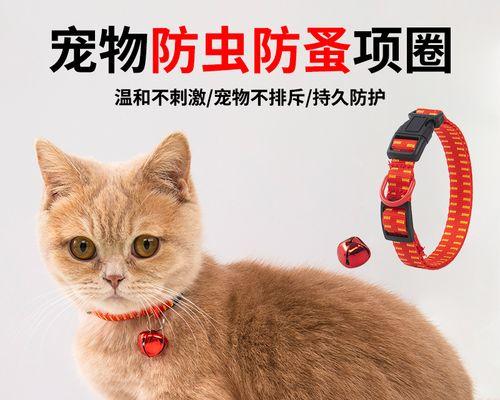 阳台宠物猫咪的放养方法（如何在阳台上放养猫咪）