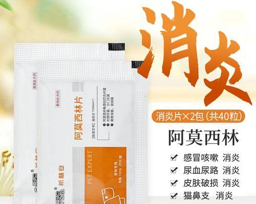 猫咪感冒阿莫西林用法全解析（让你的宠物快乐健康）