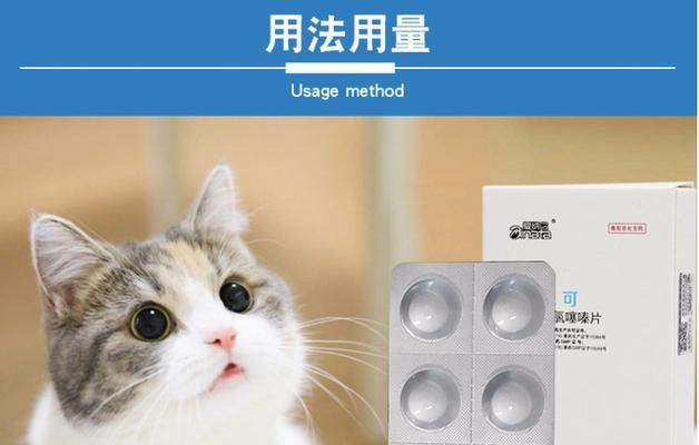 猫咪感冒阿莫西林用法全解析（让你的宠物快乐健康）