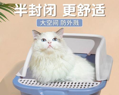 宠物猫咪病毒感染与沙之关联（如何预防宠物猫咪感染病毒）