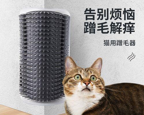 猫咪与主人的互动游戏（如何与你的猫咪一起玩游戏）