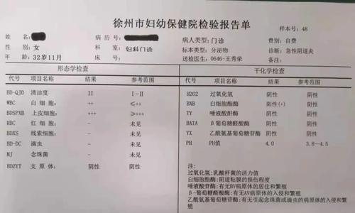 掌握这些关键步骤，有效应对狗狗阴道肿瘤手术（宠物爱护）