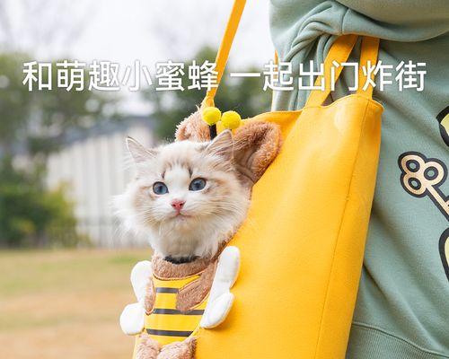 猫咪怀孕多久会生（了解猫咪妊娠期间的变化）