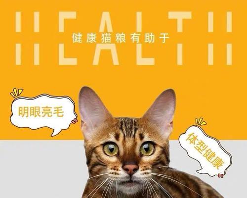 以猫咪换猫粮（宠物健康保障）