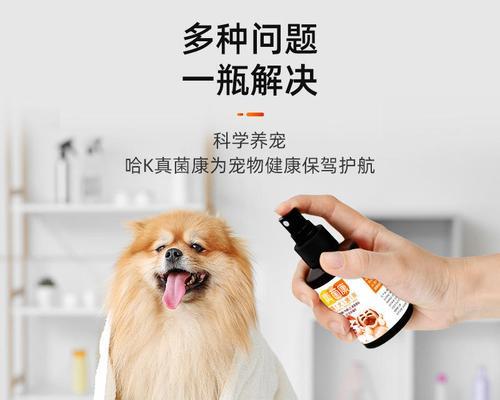 眼康——解决宠物眼部问题的好帮手（狗狗用眼康）