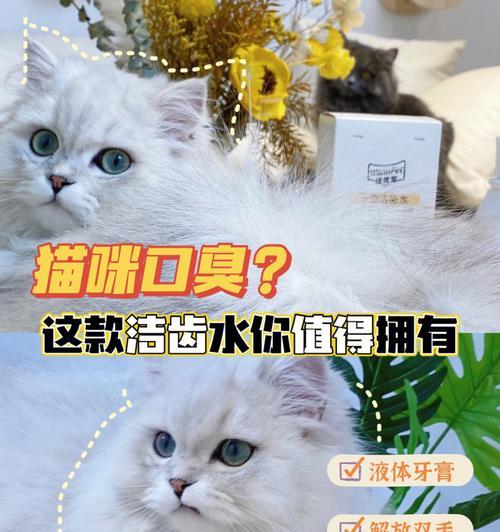 解决猫咪口臭的良方（以药物治疗为主）