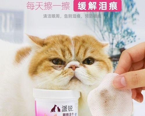 猫咪泪痕去除的方法与技巧（宠物爱好者必知的护理技巧）