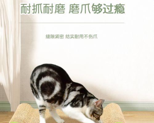 宠物猫咪的抓板习惯（猫咪猛抓板）