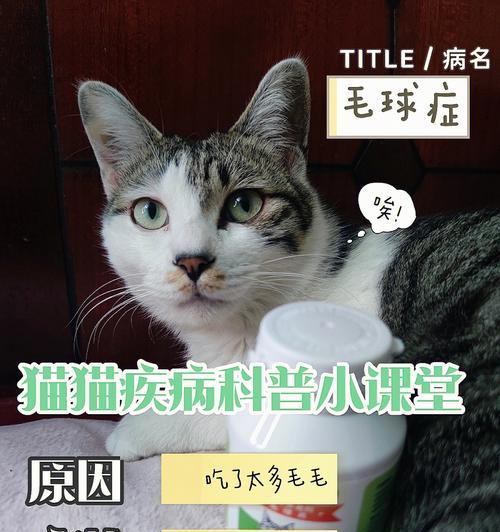 猫咪毛球症（宠物爱好者必知的应对方法）