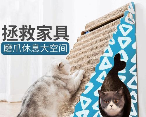 如何选择适合猫咪的磨爪工具（一键解析猫咪磨爪工具的选择与使用技巧）