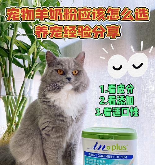 猫咪奶粉购买指南（如何选购优质猫咪奶粉）