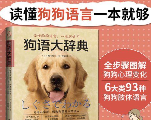 如何训练小狗站立（从宠物狗到高级犬-成为训练师的秘诀）