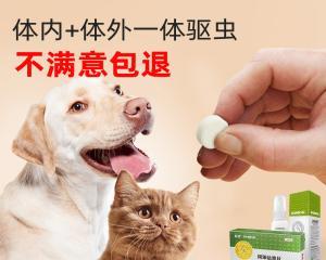 宠物犬每月驱虫的重要性（犬只的健康保障）