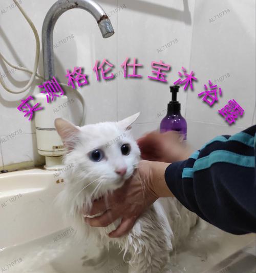 小猫洗澡需要控制水温