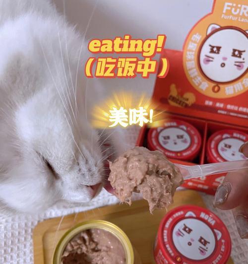 小猫早上能否吃罐头？