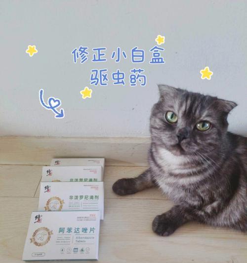 如何给宠物猫吃苯哒唑片（一份详细的指南）