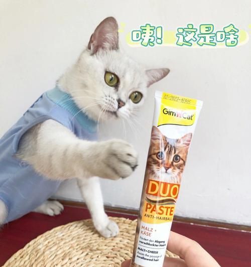 小猫化毛膏应该何时开始喂（宠物健康-化毛膏）