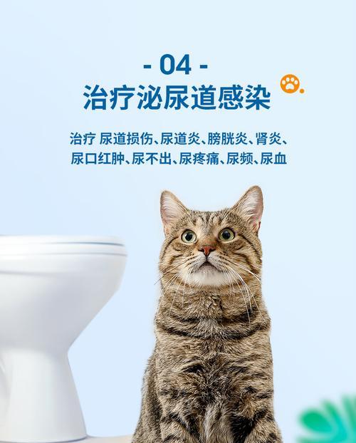 小猫拉稀，怎么喂消炎药（以宠物为主）