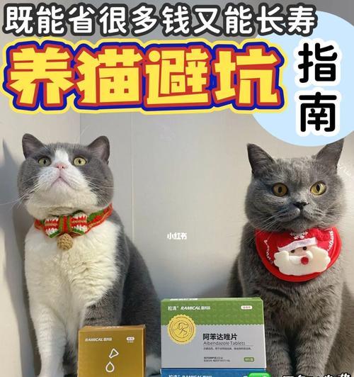 宠物小猫的驱虫药水兑服方法（健康宠物从每日驱虫开始）