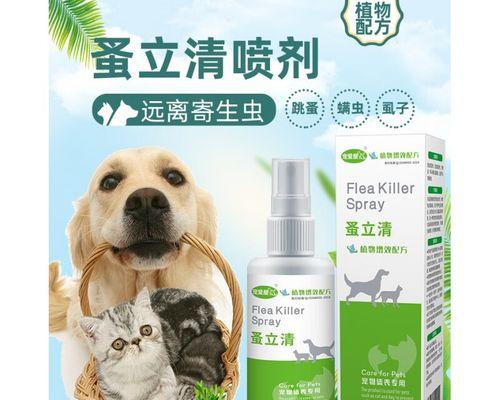 如何消灭小猫身上的跳蚤（掌握正确方法）