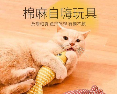 小猫的——玩具（揭秘小猫喜欢的玩具种类和特点）