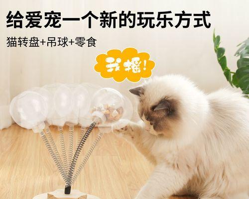 小猫总不吃东西怎么办（宠物营养问题）