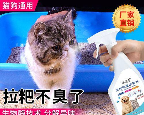 猫咪遇到新猫砂，主人需要怎么做（如何让猫咪适应新的猫砂）