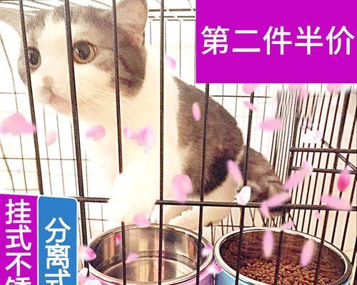 如何准确判断宠物猫怀孕多久了（掌握这些技巧）