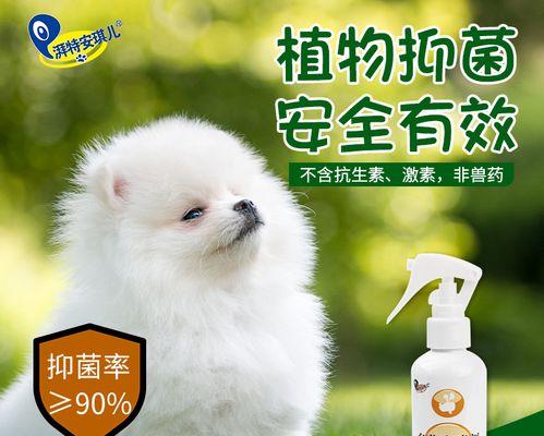 解决宠物犬湿疹问题的有效药品推荐（针对g狗湿疹的治疗方案分享）