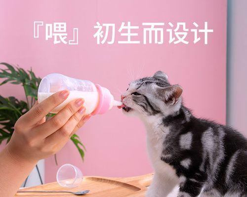 被猫咪咬伤后的正确处理方式（以宠物为主）