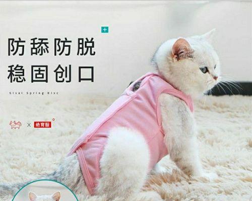 不生小猫的母猫的寿命有多长（探究母猫不生小猫是否能延长其寿命）