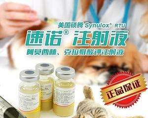 狗狗被打后该吃哪些消炎药（宠物医生推荐）