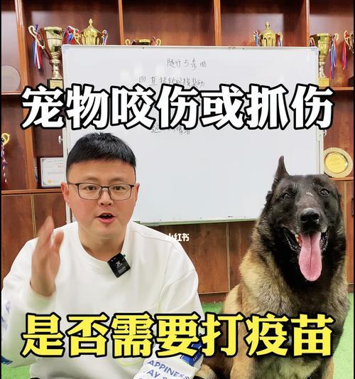 为什么狗狗必须打第三针疫苗（详解宠物健康保护及预防措施）