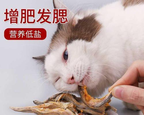 猫吃多了鱼吐了该怎么办（宠物照顾小贴士）