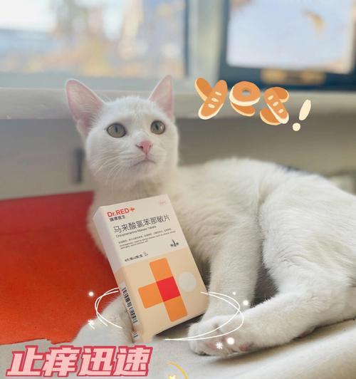 如何治疗猫细小病毒感染（合适的治疗方法能让你的猫恢复健康）