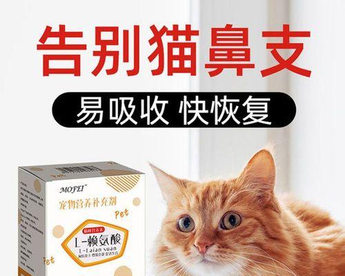 猫感冒怎么办（以猫的普通感冒吃什么药好为例）