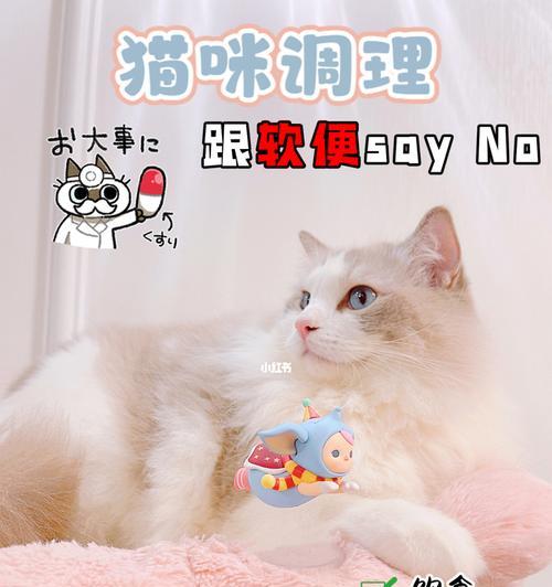 宠物猫拉稀吐怎么办（解决宠物拉稀吐的有效方法及药物治疗）