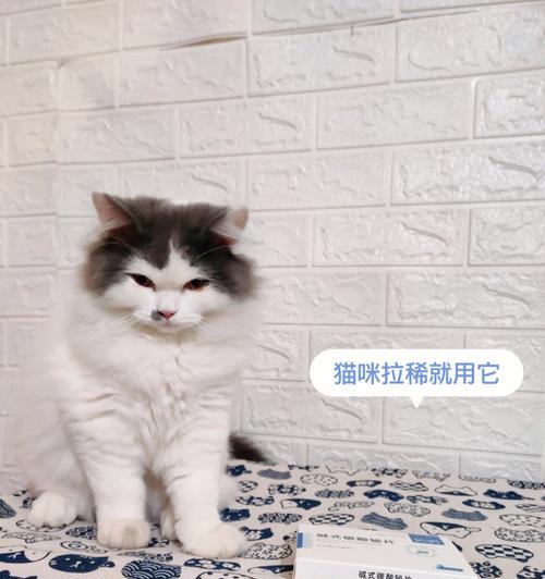 如何有效治疗猫咪拉稀（探究猫咪拉稀的原因及治疗方法）