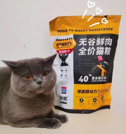 如何储藏猫粮防止腐坏（以宠物为主）