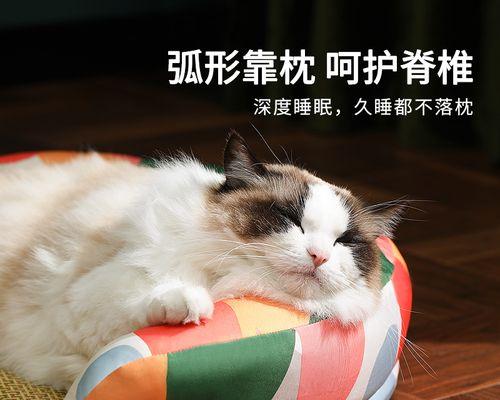 解析“以猫猫叫”背后的含义（探究宠物在人类生活中的意义与作用）