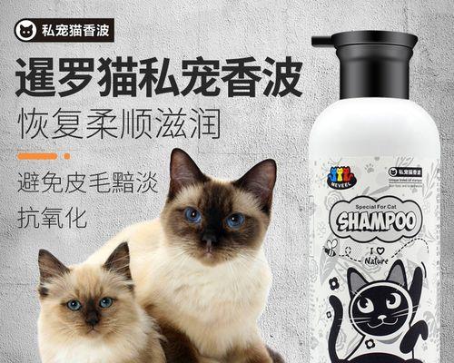 用猫毛制作的可爱小猫（用毛发DIY你的专属宠物）