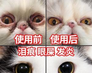 猫眼屎的颜色告诉你什么（了解猫眼屎的颜色）