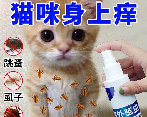 爱猫人士必读（以猫用跳蚤药猫咪为主题的全面指南）