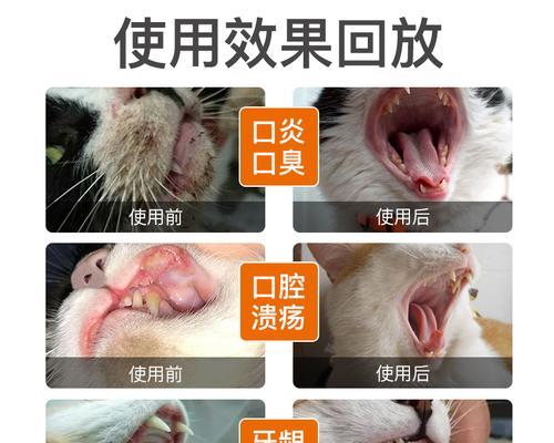 猫咪口腔炎吃什么药（为爱宠打造健康的口腔环境）