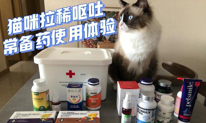 如何处理宠物猫咪拉稀难题（细节决定成败）